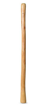 Medium Size Natural Finish Didgeridoo (TW626)